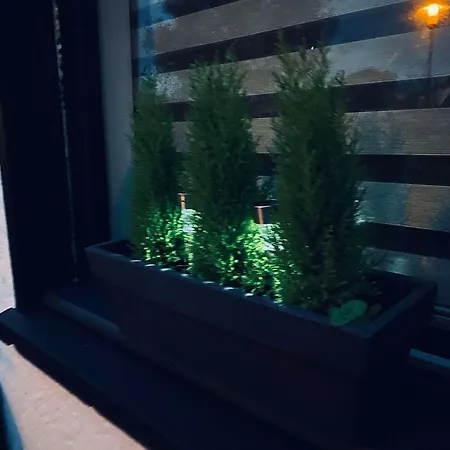 Διαμέρισμα Premium, A 50m Du D'ardres Avec Terrasse