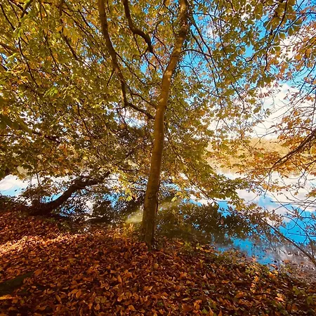 Premium, A 50m Du D'ardres Avec Terrasse Ardres